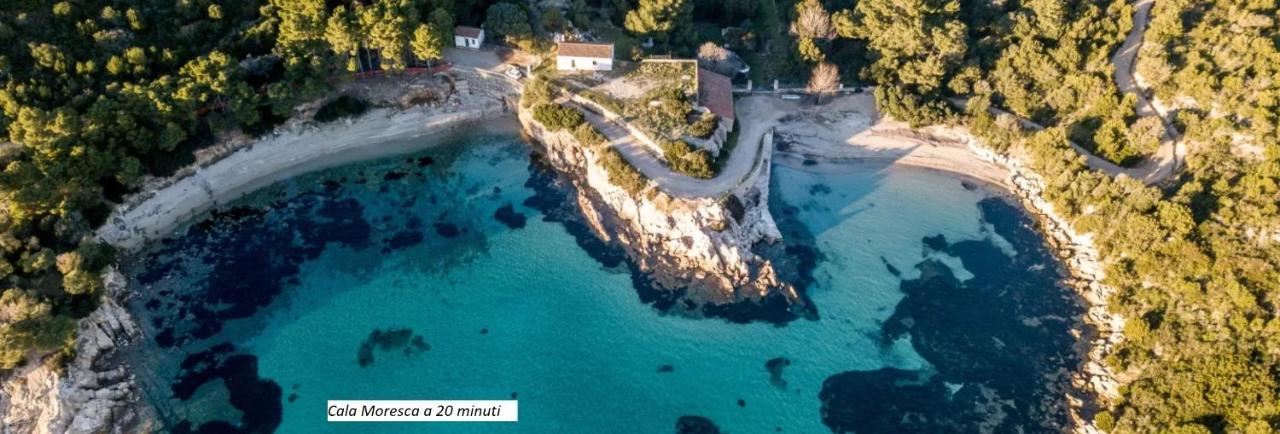 Corallo With Private Garden Holiday home